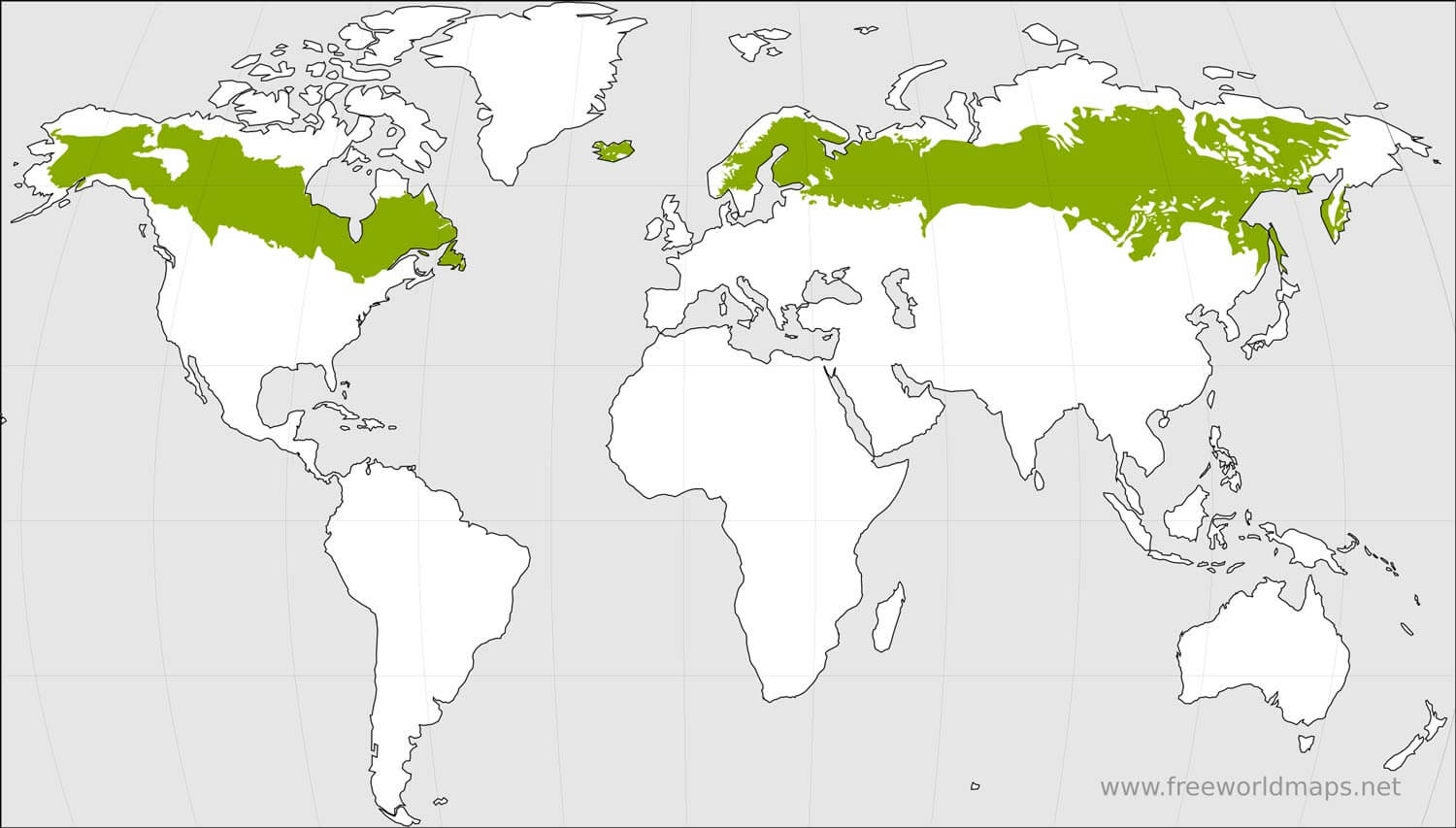 Бореальные леса северной америки карта