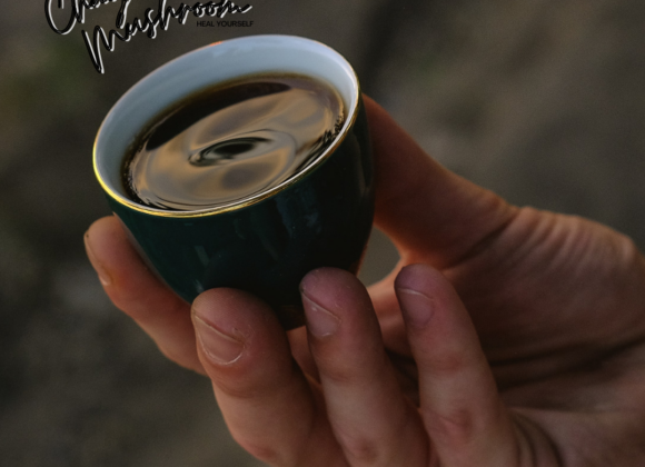 What is Chaga tea? what is chaga tea