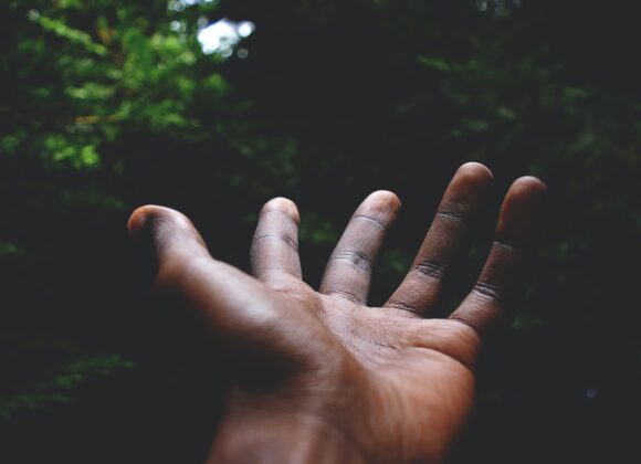 What is Chaga good for? what is chaga good for