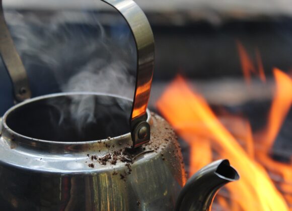 Does boiling Chaga ruin it? boiling chaga