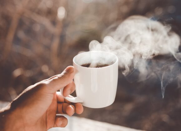 Can you brew tea with fresh Chaga? raw chaga for tea