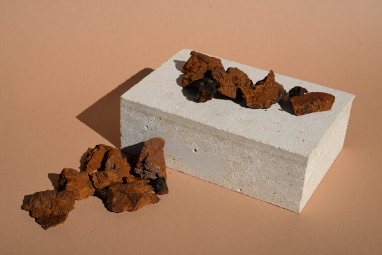 dry chaga