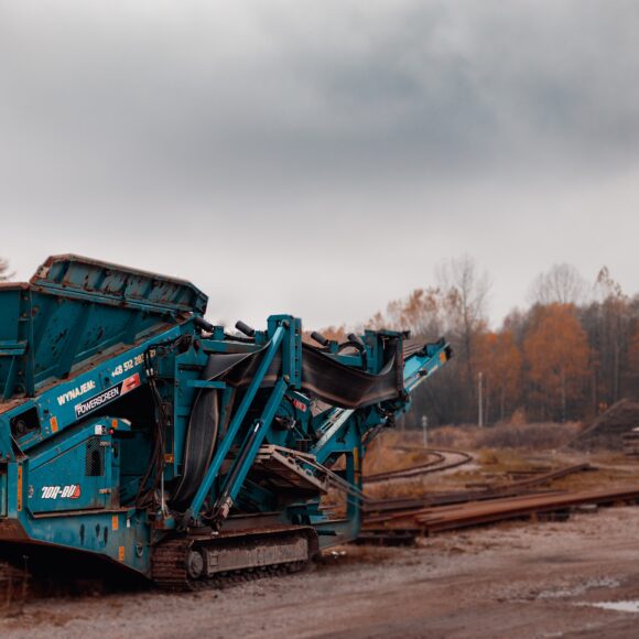 harvesting healthy chaga