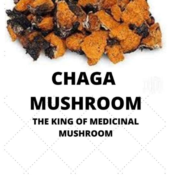 chaga mushroom henry donald