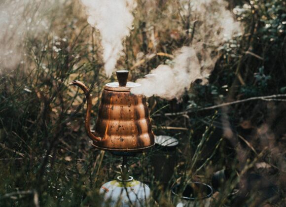 Chaga Tincture | Water extraction chaga water extraction