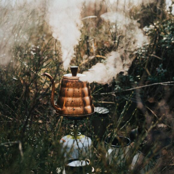 chaga water extraction