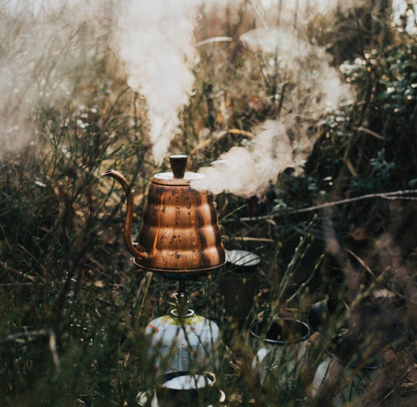 Chaga Tincture | Water extraction chaga water extraction