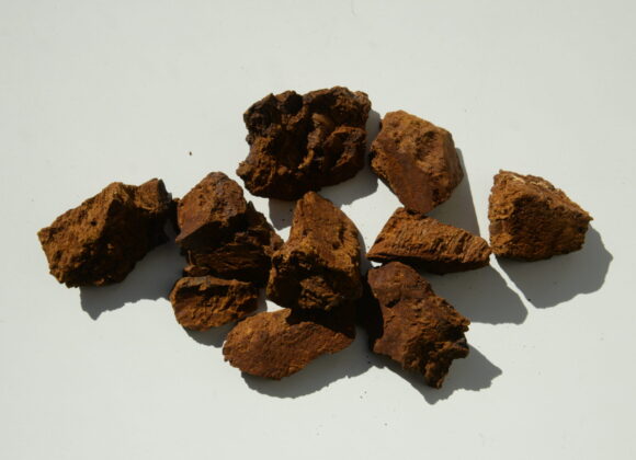Chaga Chunks chaga chunks