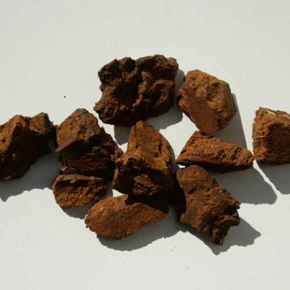 chaga chunks