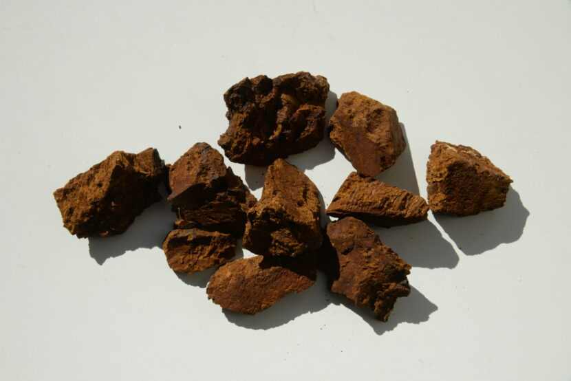 Chaga Chunks chaga chunks